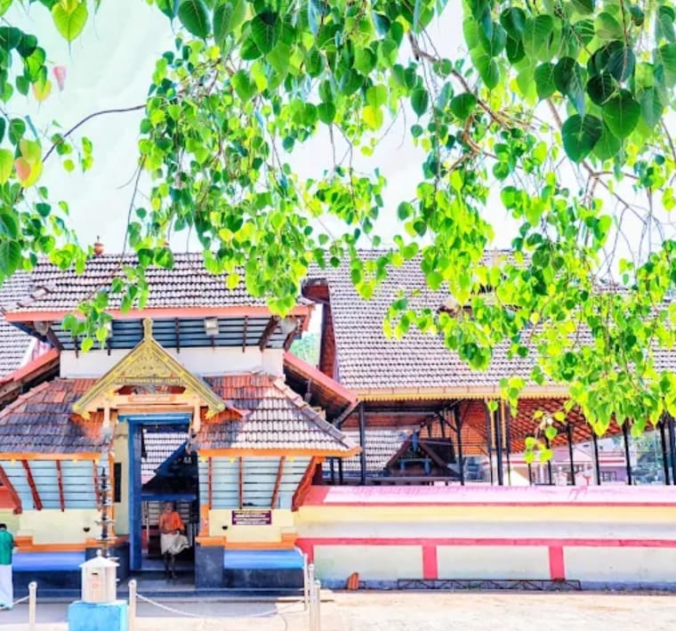 8bfa3b2b-66ed-4760-90e6-cb9dd18d5a77