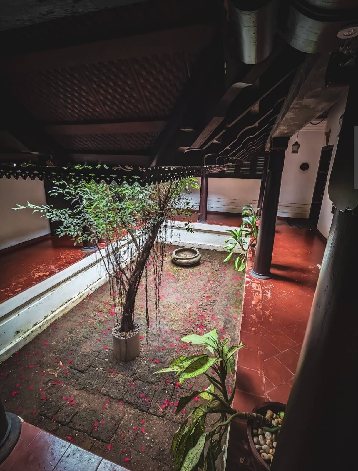 WhatsApp Image 2025-10-10 at 1.42.34 PM