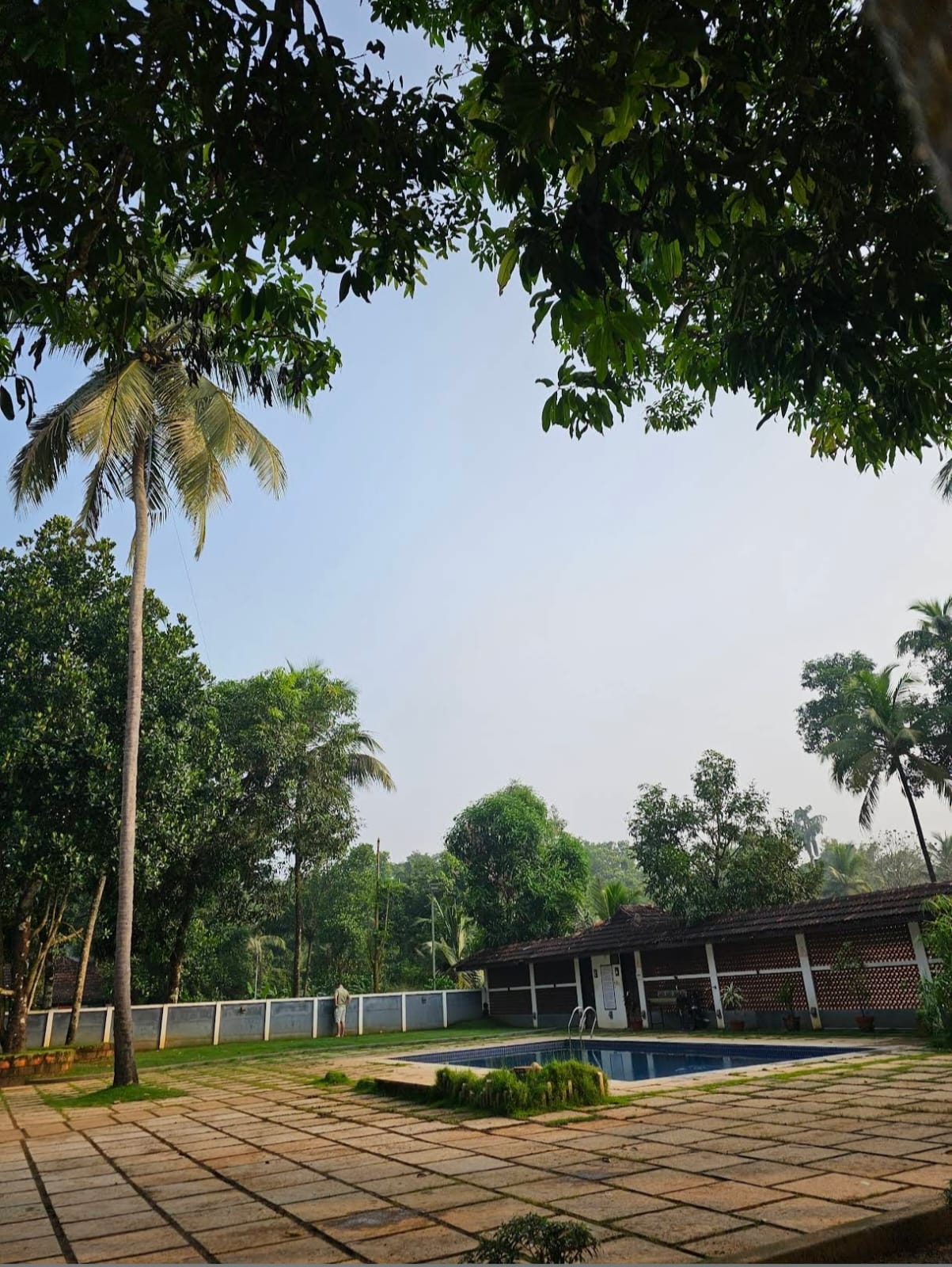 a280ae29-b494-4e88-8a85-a6593caeef1e